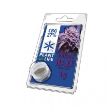 Purple Haze Solid CBG 27%